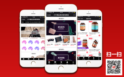 網(wǎng)站定制開發(fā)