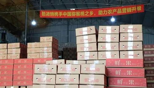 酷消銷上市在即,農村電商依舊潛力十足